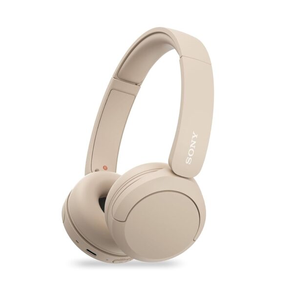 Sony WH-CH520 Headphones